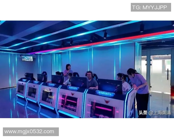 聚焦电子竞技产业发展与玩家生态构建推动数字时代竞技文化创新融合